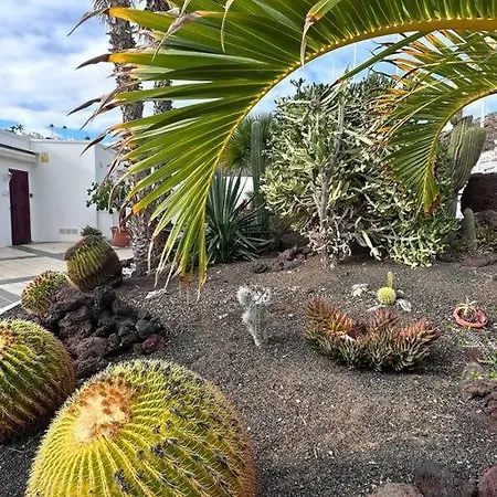 Happy Place Puerto Rico プエルトリコ